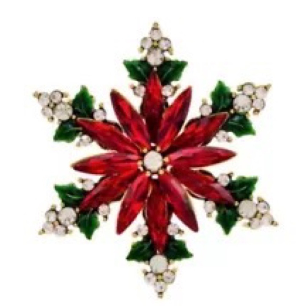 Beautiful Brush for Christmas 💝